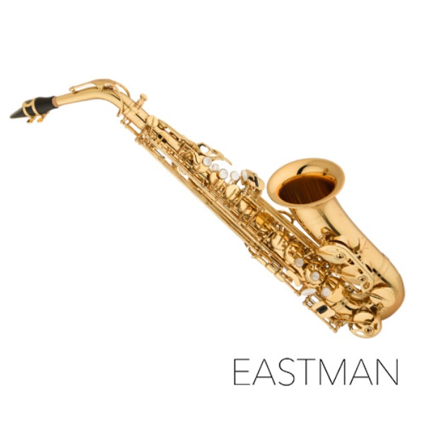 이스트만 알토 색소폰 EAS253