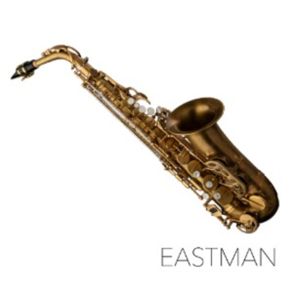 이스트만 알토 색소폰 EAS652