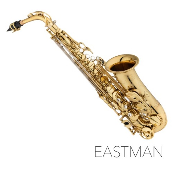 이스트만 알토 색소폰 EAS850