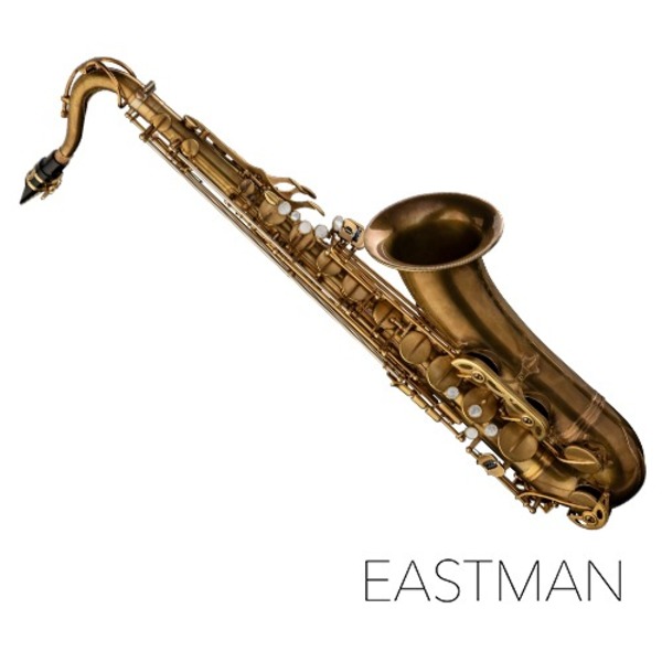 이스트만 테너 색소폰 ETS652