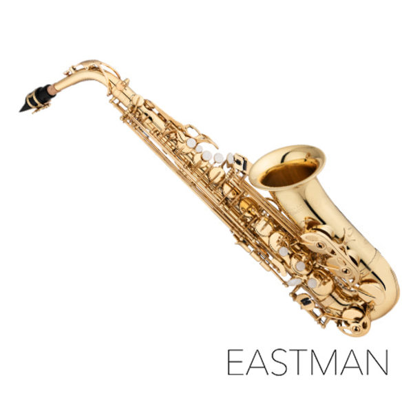 이스트만 알토 색소폰 EAS650