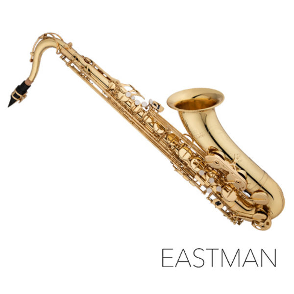 이스트만 테너 색소폰 ETS850